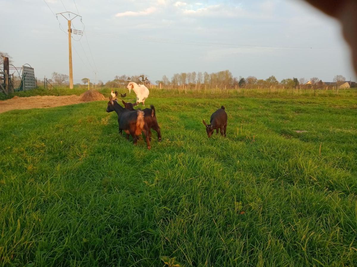 La Ferme D' Emerentine Bacilly Luaran gambar