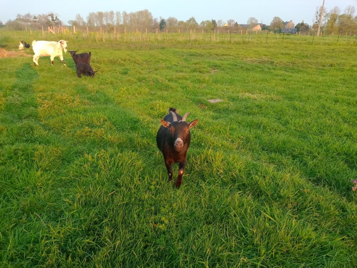 La Ferme D' Emerentine Bacilly Luaran gambar